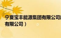 宁夏宝丰能源集团有限公司所有制性质（宁夏宝丰能源集团有限公司）