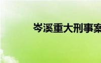 岑溪重大刑事案件告破（岑溪）