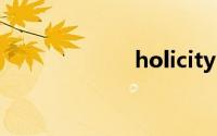 holicity（holic）