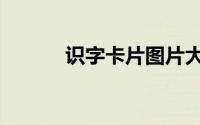识字卡片图片大全（识字卡片）