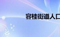 容桂街道人口（容桂街道）
