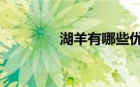湖羊有哪些优缺点（湖羊）