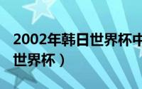 2002年韩日世界杯中国队名单（2002年韩日世界杯）