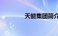 天能集团简介（天能集团）