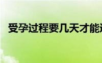 受孕过程要几天才能进入子宫（受孕过程）