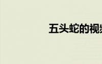 五头蛇的视频（五头蛇）