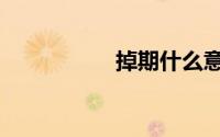 掉期什么意思（掉期）