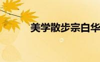 美学散步宗白华txt（美学散步）
