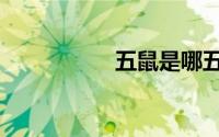 五鼠是哪五鼠（五鼠）