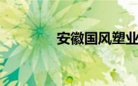 安徽国风塑业股份有限公司