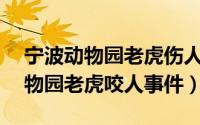 宁波动物园老虎伤人完整过程!（129宁波动物园老虎咬人事件）