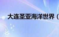 大连圣亚海洋世界（大连圣亚海洋世界）