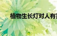 植物生长灯对人有害吗（植物生长灯）