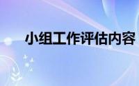 小组工作评估内容（小组工作第二版）