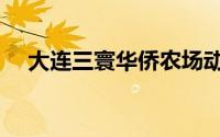 大连三寰华侨农场动迁吗（大连三清观）