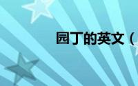 园丁的英文（园丁鸟-艺鸟）