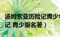 汤姆索亚历险记青少年版图谱（汤姆索亚历险记 青少版名著）
