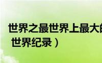 世界之最世界上最大的平原是什么（世界之最 世界纪录）