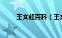 王文超百科（王文超 青年科学家）