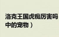 洛克王国虎痴厉害吗（虎痴 游戏《洛克王国》中的宠物）