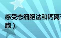 感受态细胞法和钙离子转化法区别（感受态细胞）