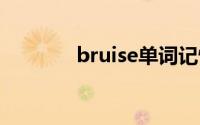 bruise单词记忆（Bruised）