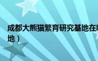 成都大熊猫繁育研究基地在哪个区（成都大熊猫繁育研究基地）