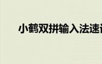 小鹤双拼输入法速记口诀（小鹤双拼）