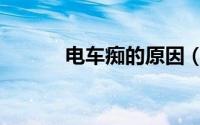 电车痴的原因（电车痴汉动漫）