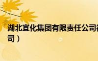 湖北宜化集团有限责任公司待遇（湖北宜化集团有限责任公司）
