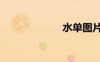 水单图片（水单）
