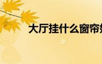 大厅挂什么窗帘好看（大胤仙朝）