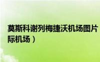 莫斯科谢列梅捷沃机场图片（谢列梅捷沃亚历山大普希金国际机场）