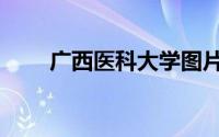 广西医科大学图片（广西医科大学）