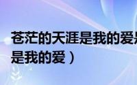 苍茫的天涯是我的爱是什么意思（苍茫的天涯是我的爱）