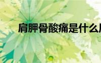 肩胛骨酸痛是什么原因（肩胛骨酸痛）