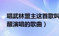 唱武林盟主这首歌叫什么名字（武林盟主 苏醒演唱的歌曲）