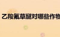 乙羧氟草醚对哪些作物有危害（乙羧氟草醚）