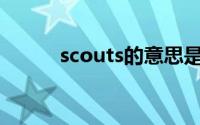 scouts的意思是什么（Scouts）