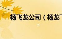 杨飞龙公司（杨龙飞 无动力飞行大师）