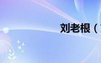 刘老根（刘老根2）