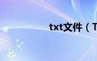 txt文件（TXT小说吧）