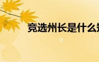 竞选州长是什么短语（竞选州长）