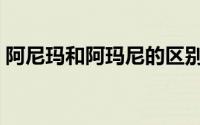 阿尼玛和阿玛尼的区别（阿尼玛和阿尼姆斯）