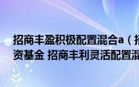 招商丰盈积极配置混合a（招商丰利灵活配置混合型证券投资基金 招商丰利灵活配置混合C）