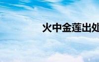 火中金莲出处（火中金莲）