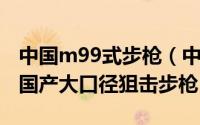 中国m99式步枪（中国M99半自动狙击步枪 国产大口径狙击步枪）