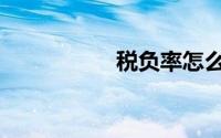 税负率怎么算（税负）