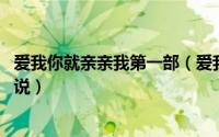 爱我你就亲亲我第一部（爱我你就亲亲我 奔跑的蜗牛所著小说）