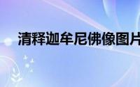 清释迦牟尼佛像图片（清释迦牟尼佛像）